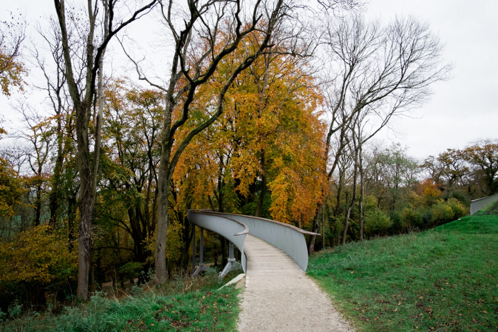 Tree top walk Bruton